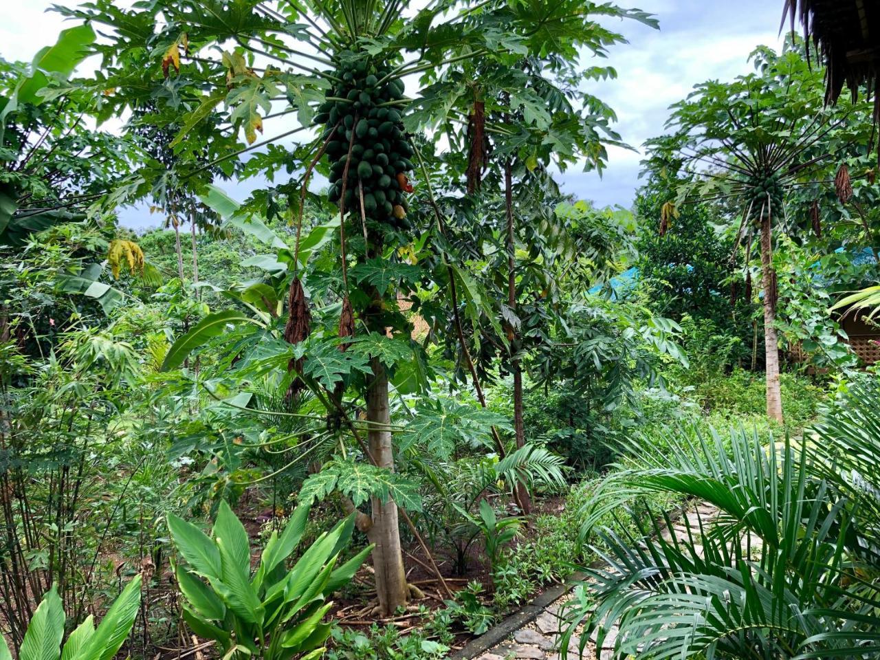 House @Bohol Garden Homes Panglao Luaran gambar